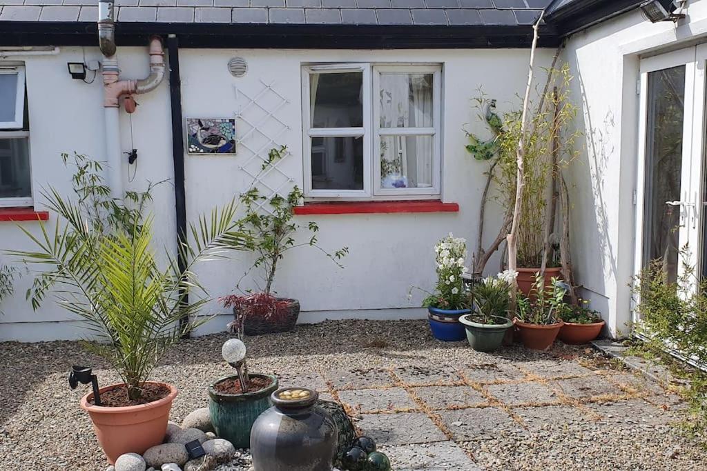 Cosy Self Contained Cottage With Stunning Views Killaloe Kültér fotó